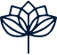 Vector